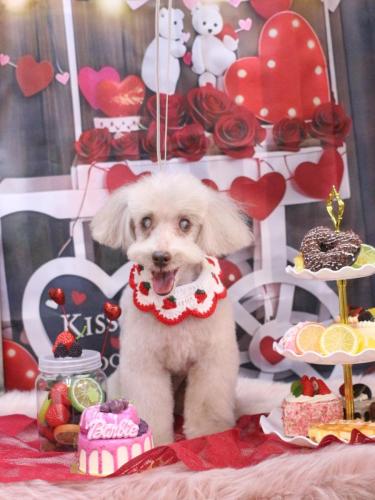 20250204ロンくん